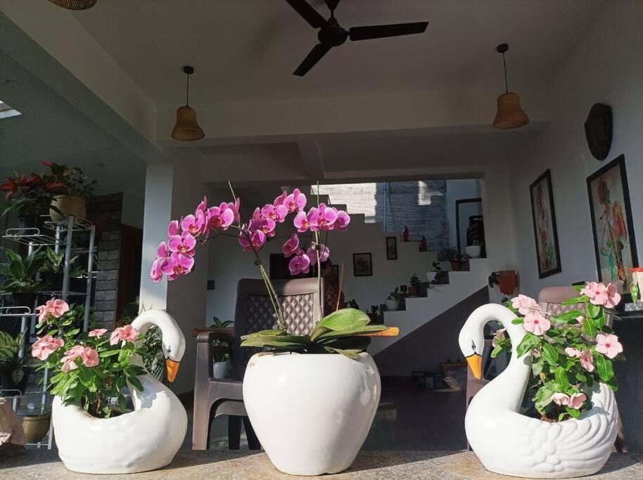 Almond Villa Find Your Paradise Alībāg Exterior foto